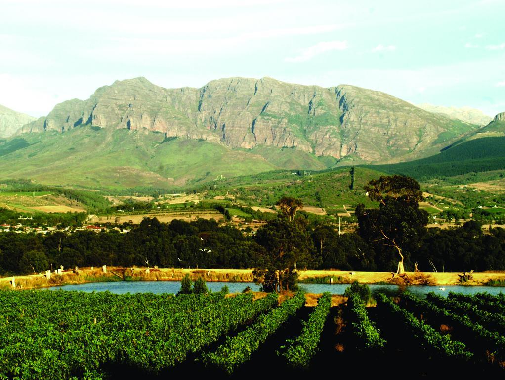 Cana Vineyard Guesthouse Paarl Esterno foto