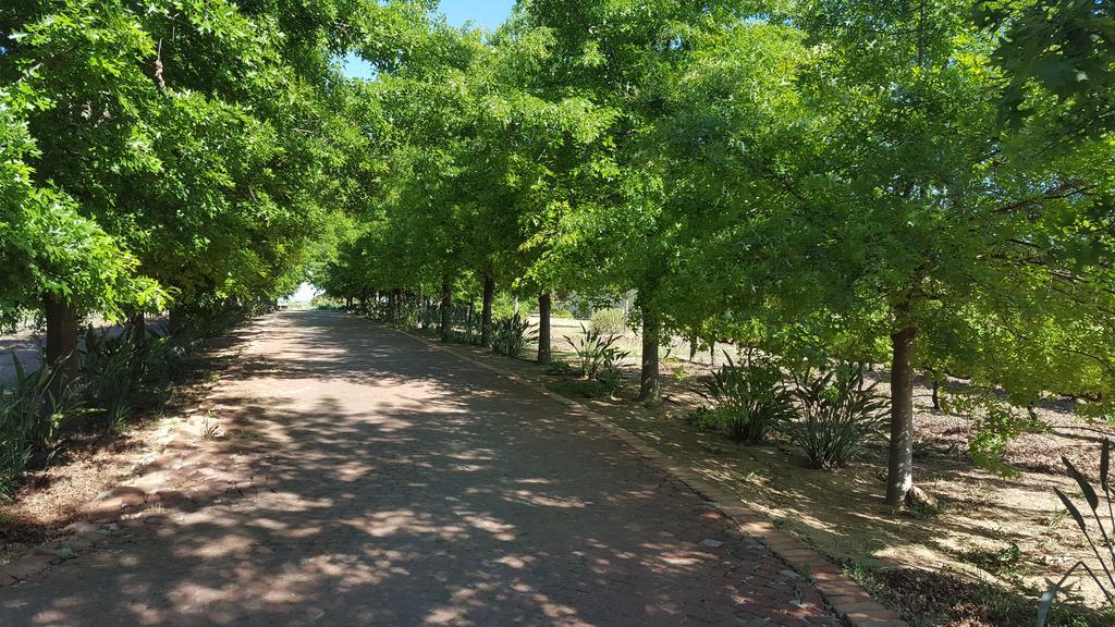 Cana Vineyard Guesthouse Paarl Esterno foto