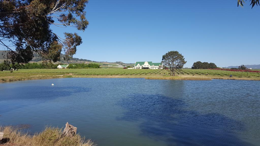 Cana Vineyard Guesthouse Paarl Esterno foto