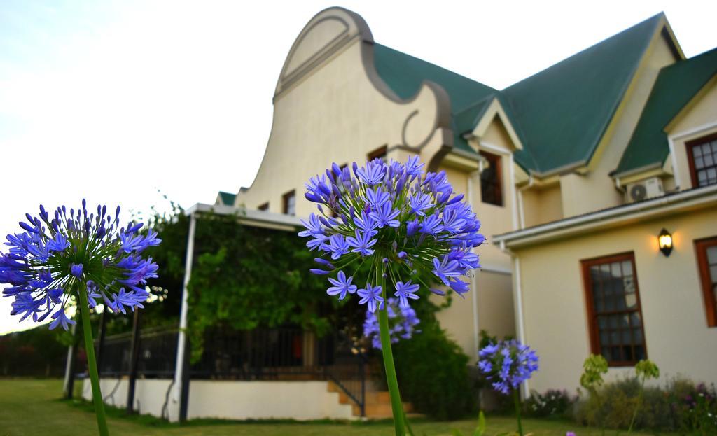 Cana Vineyard Guesthouse Paarl Esterno foto