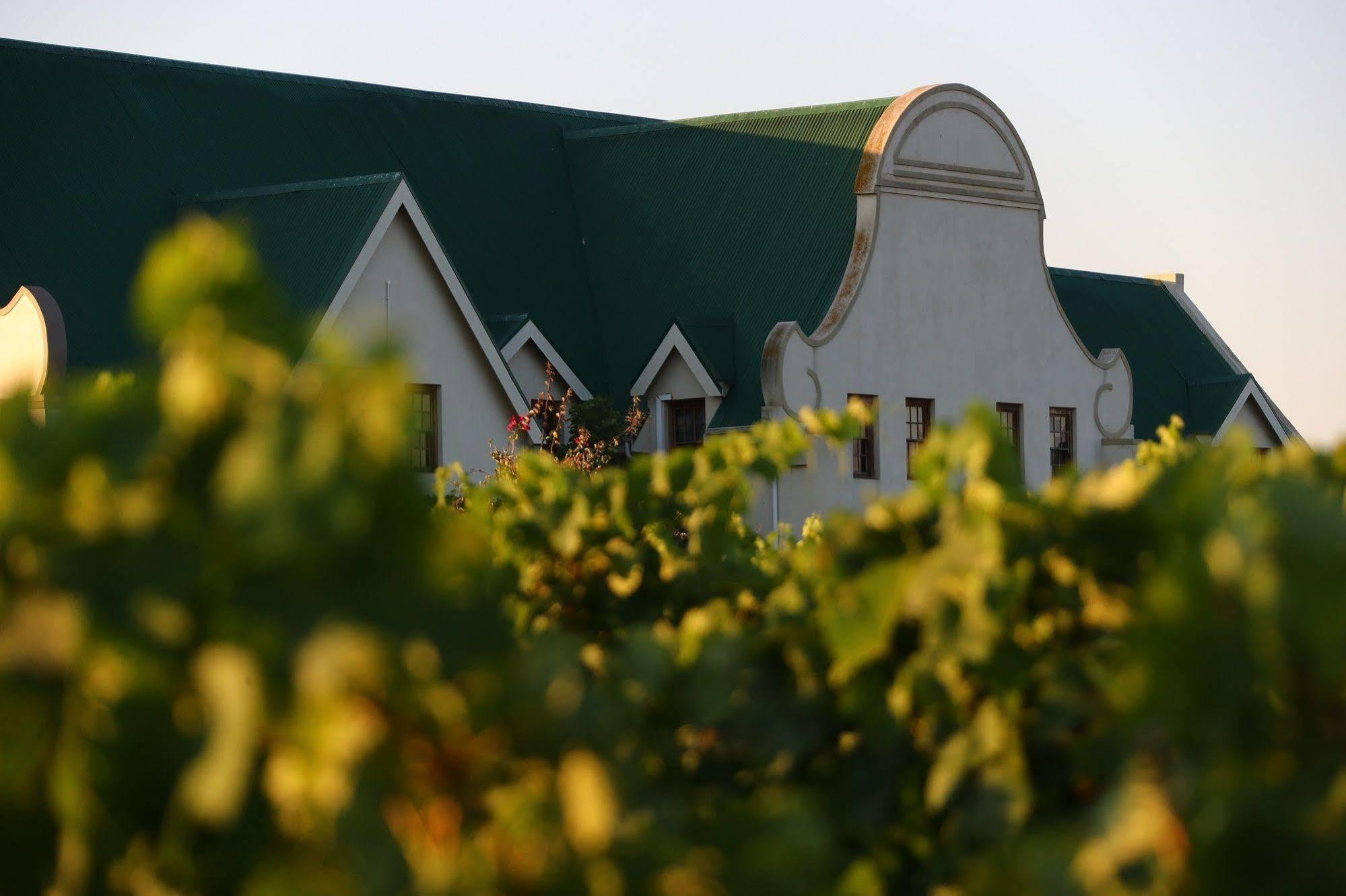 Cana Vineyard Guesthouse Paarl Esterno foto